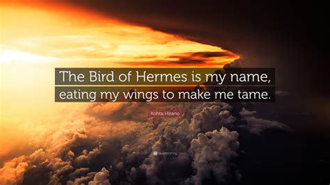 i am the bird of hermes|the bird of hermes is my name eating wings.